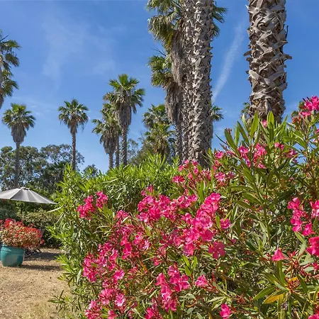 Vila Washingtonia - De Charme Avec Acces Prive A La *
